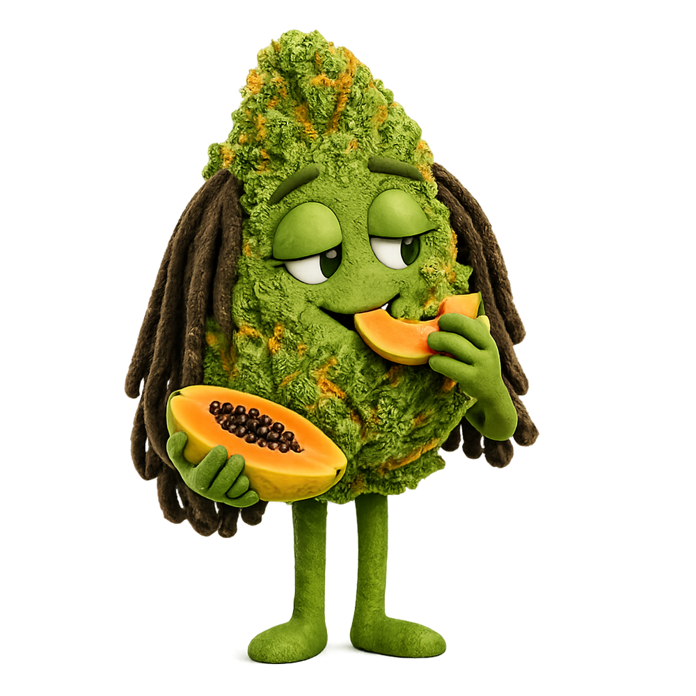 GUILLAUME PAPAYA