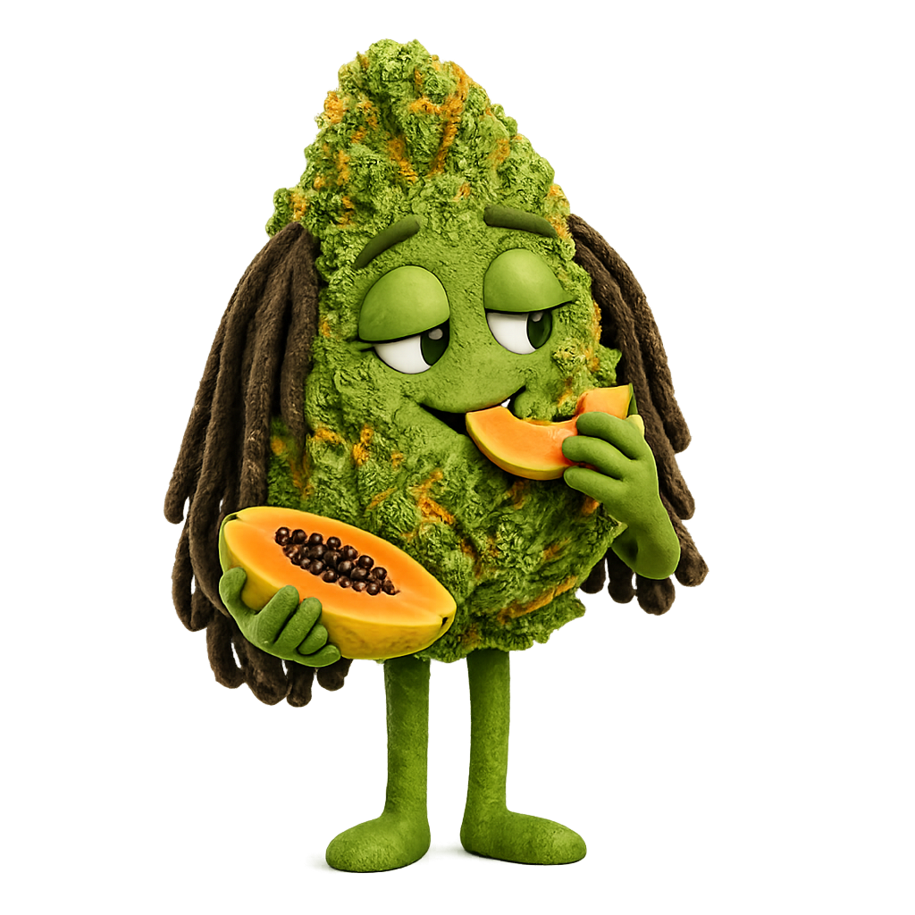 GUILLAUME PAPAYA